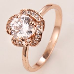 🏵Vintage Rose🏵